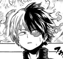 todoroki shouto (bnha)